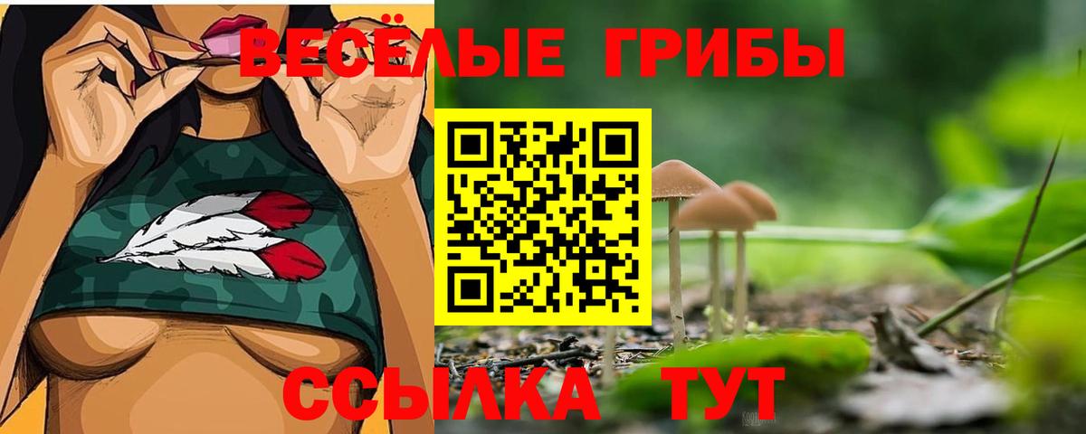 Галлюциногенные грибы мухоморы Егорьевск